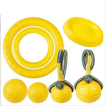 Elastic Molar Stick Frisbee